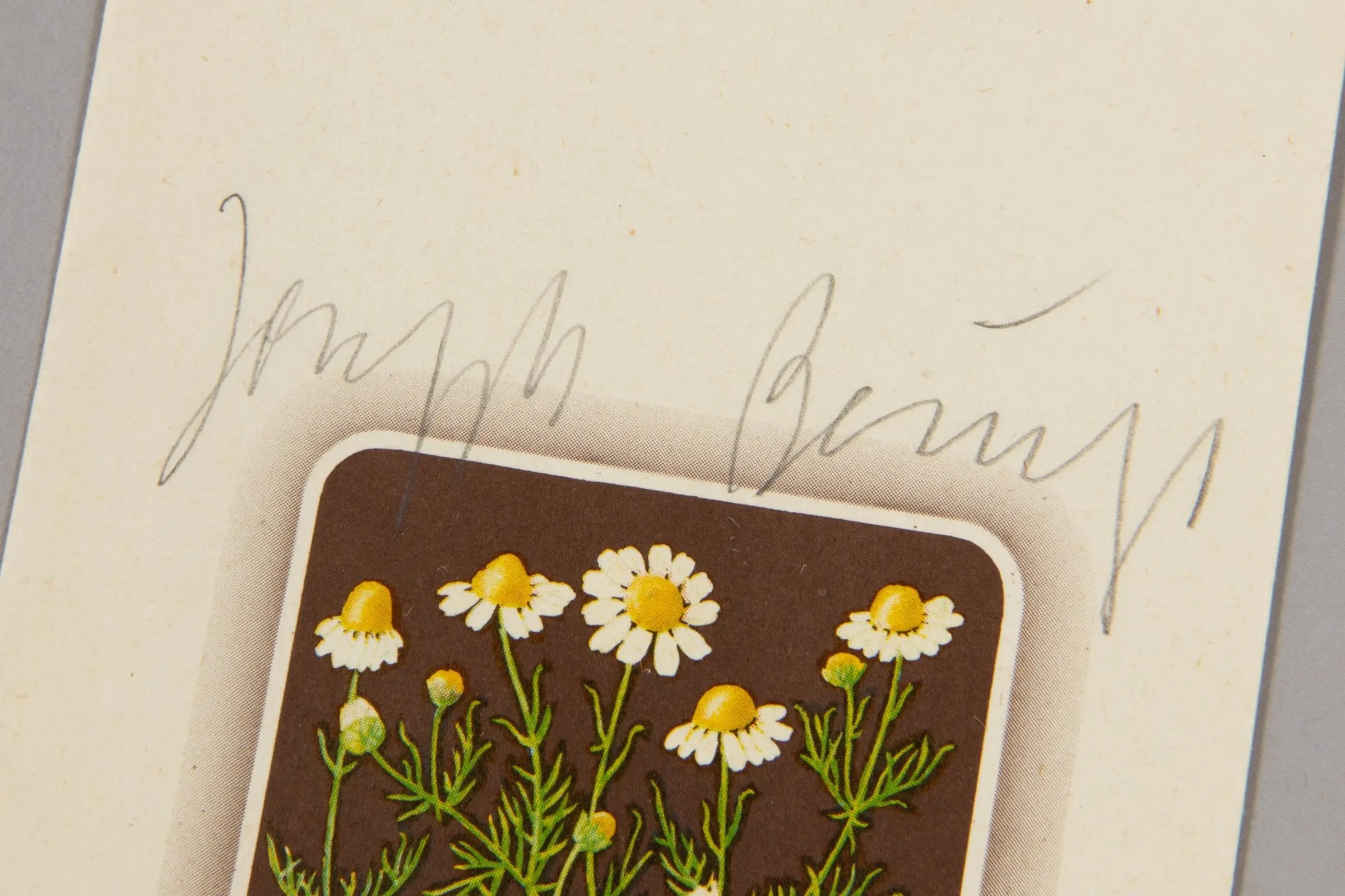 Joseph Beuys, 1 Wirtschaftswert (Kamillentee)