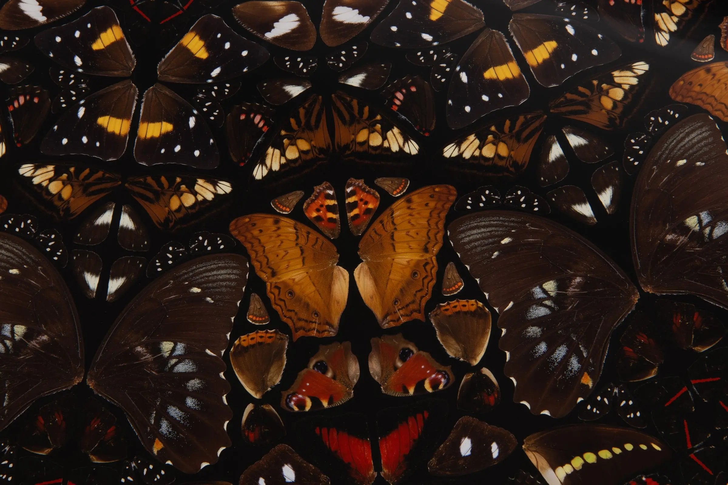 Damien Hirst - Earth (from The Elements)