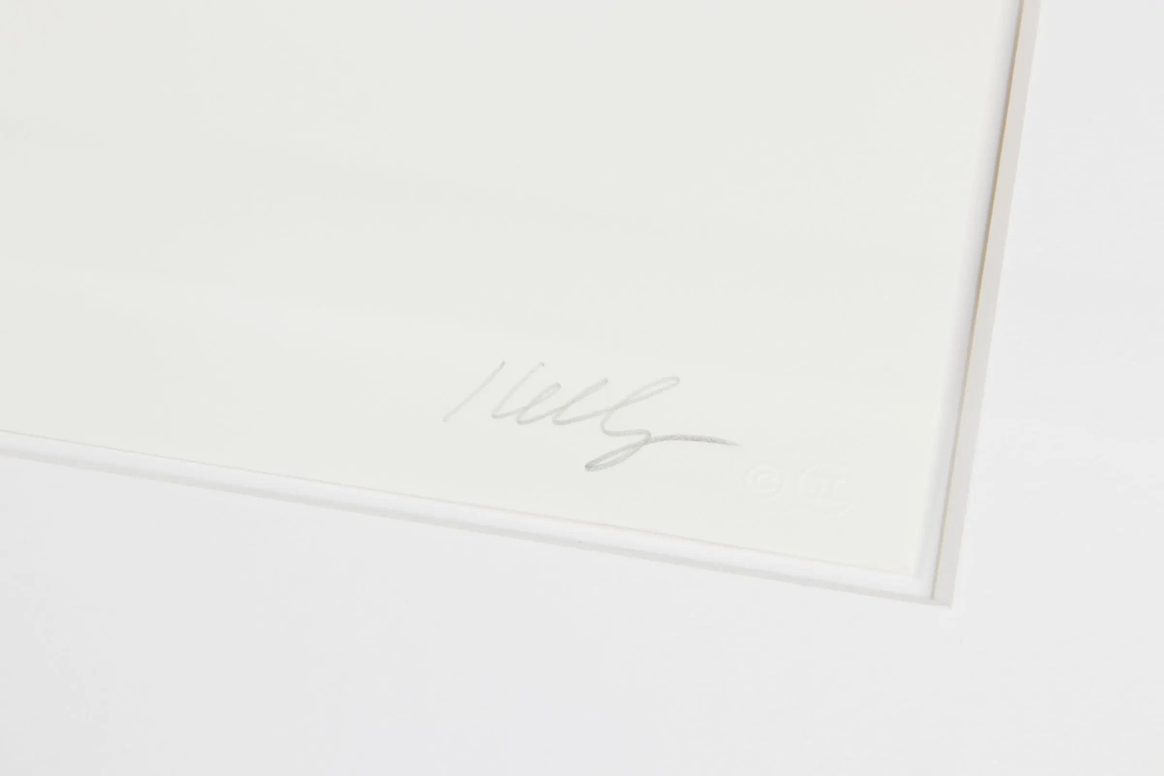 Ellsworth Kelly - Small Black Curve