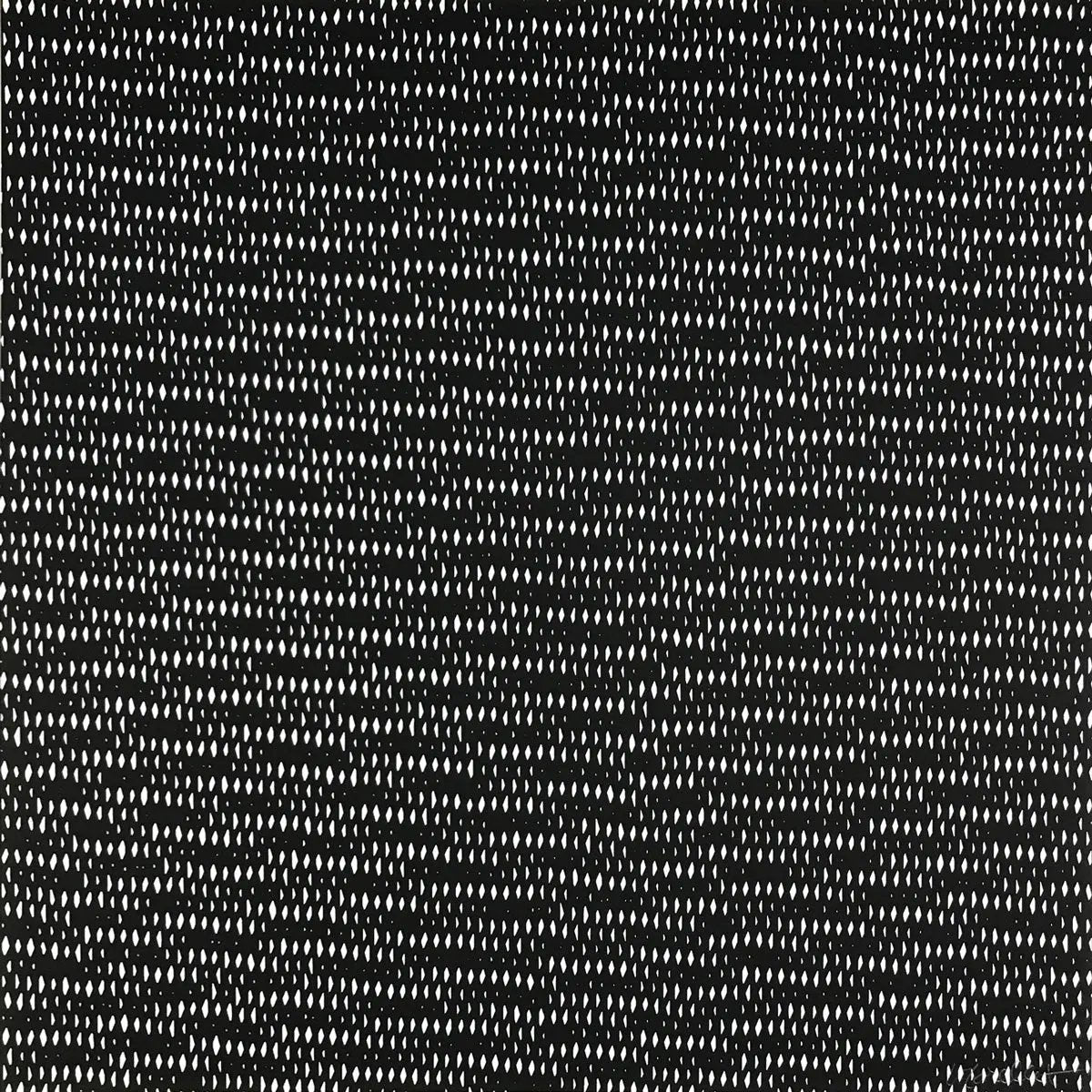 François Morellet - Trames Portfolio