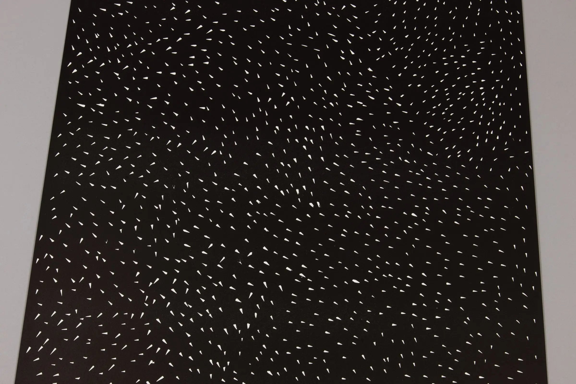 David Shrigley - Particles of Truth