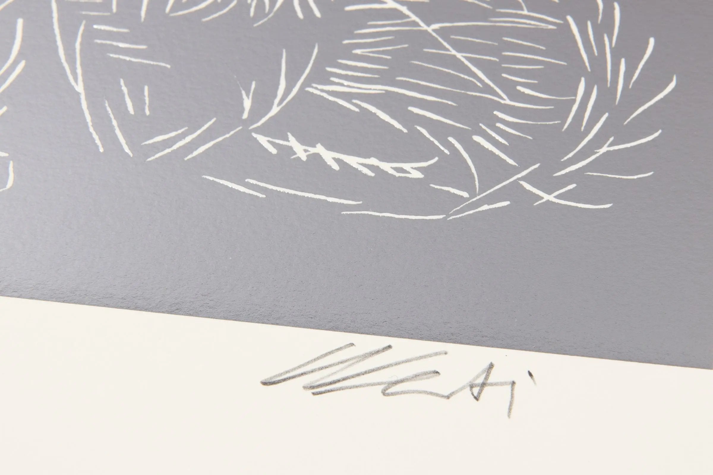 Ai Weiwei pencil signature on Cats Silver limited edition print