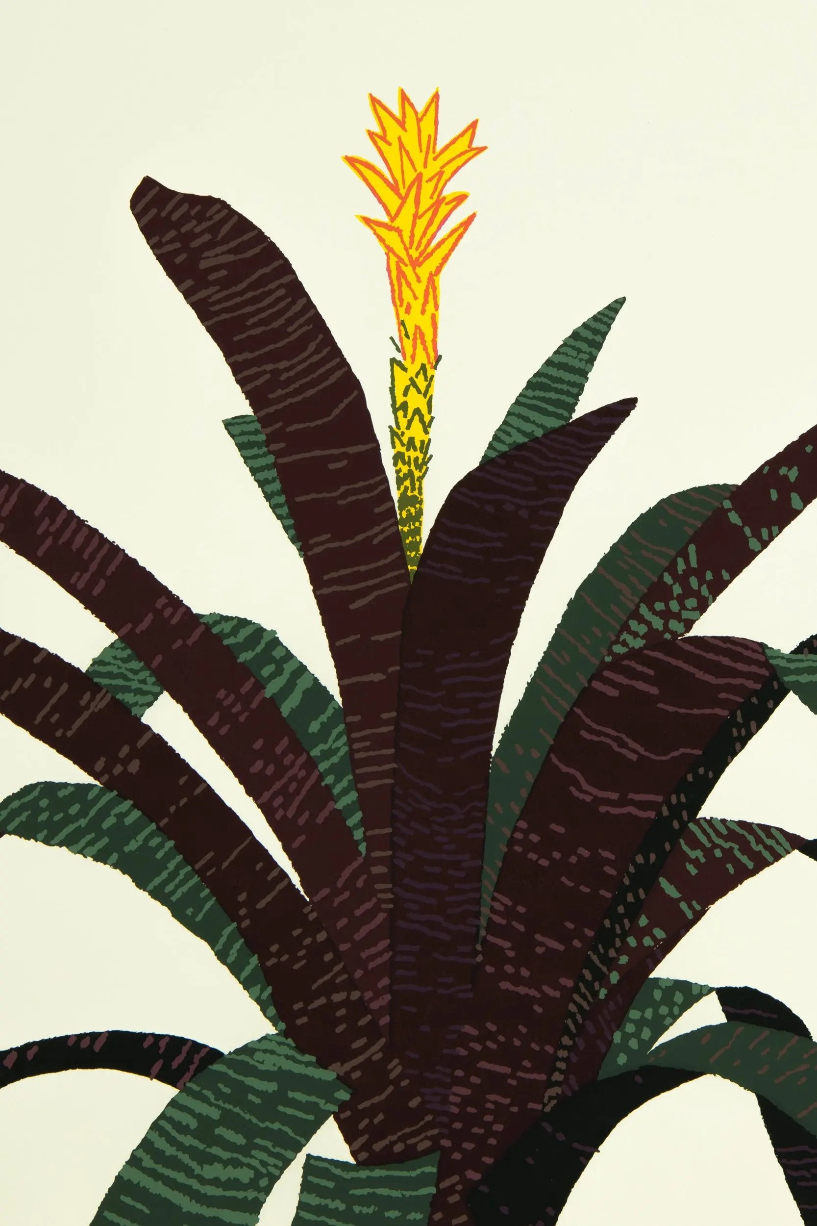 Jonas Wood - Bromeliad
