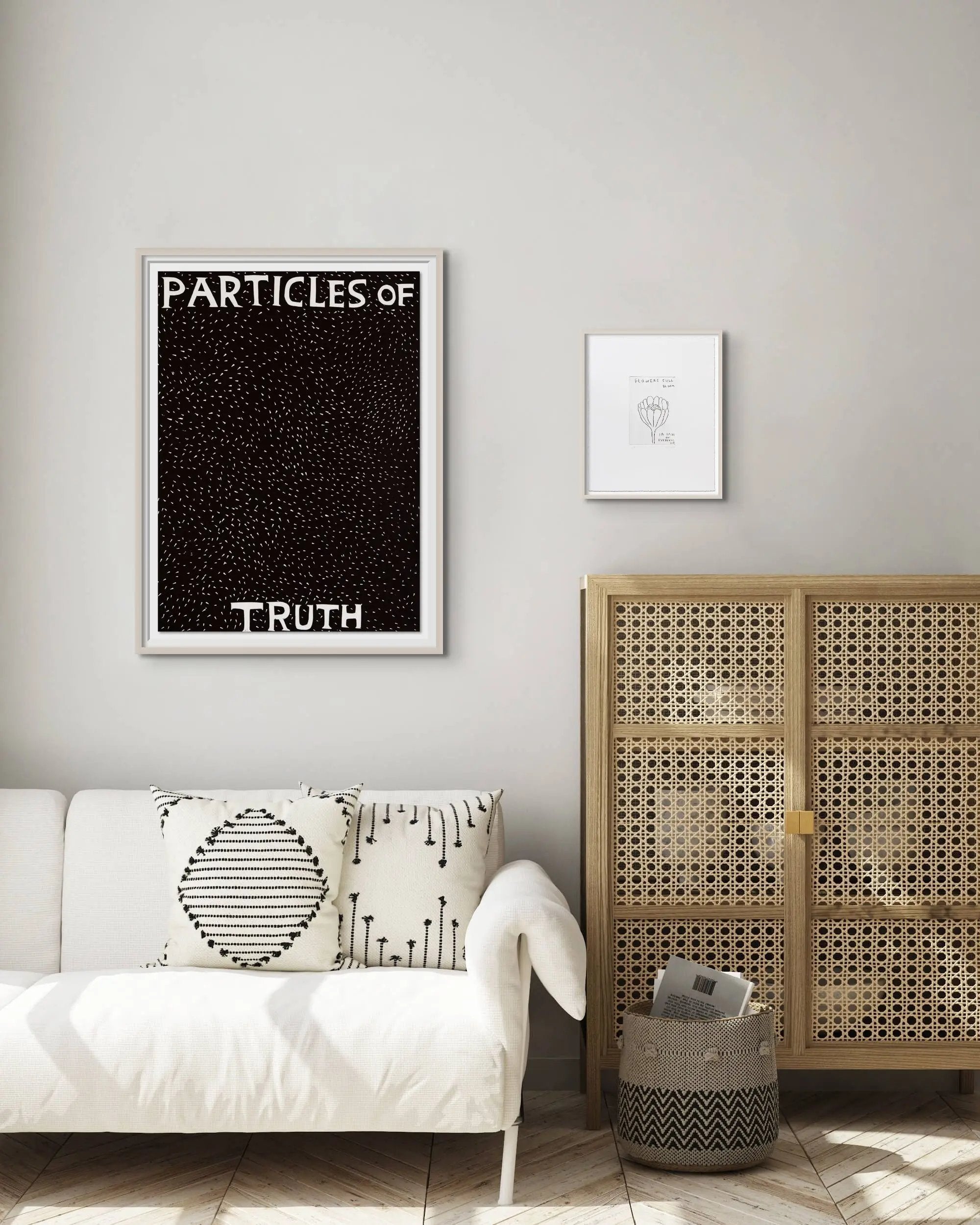 David Shrigley - Particles of Truth