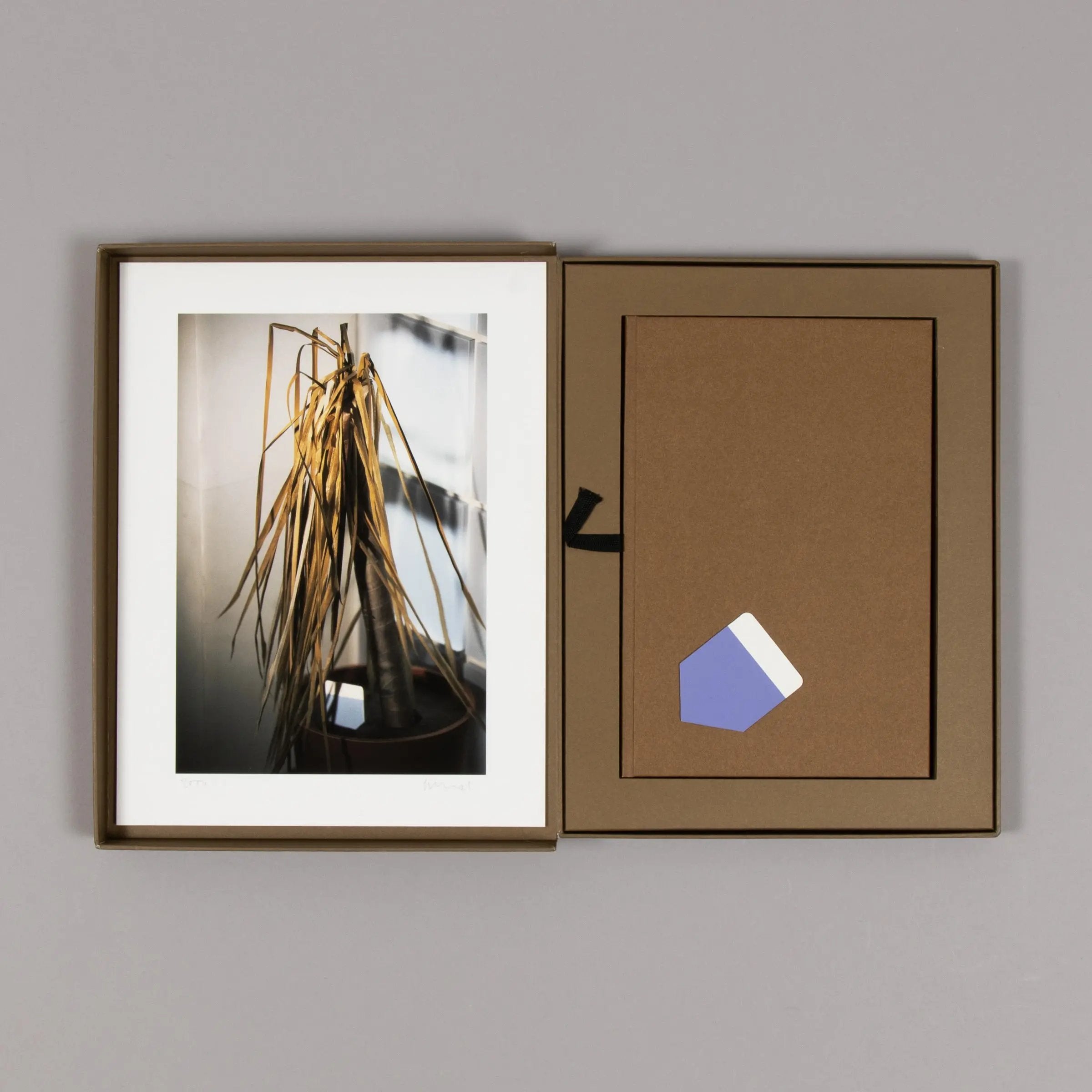 Thomas Demand – Klause (Scheinprobleme in der Philosophie)