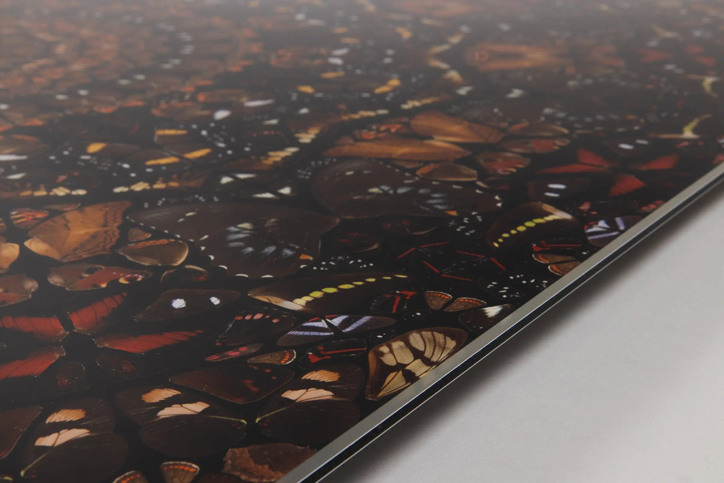 Damien Hirst - Earth (from The Elements)