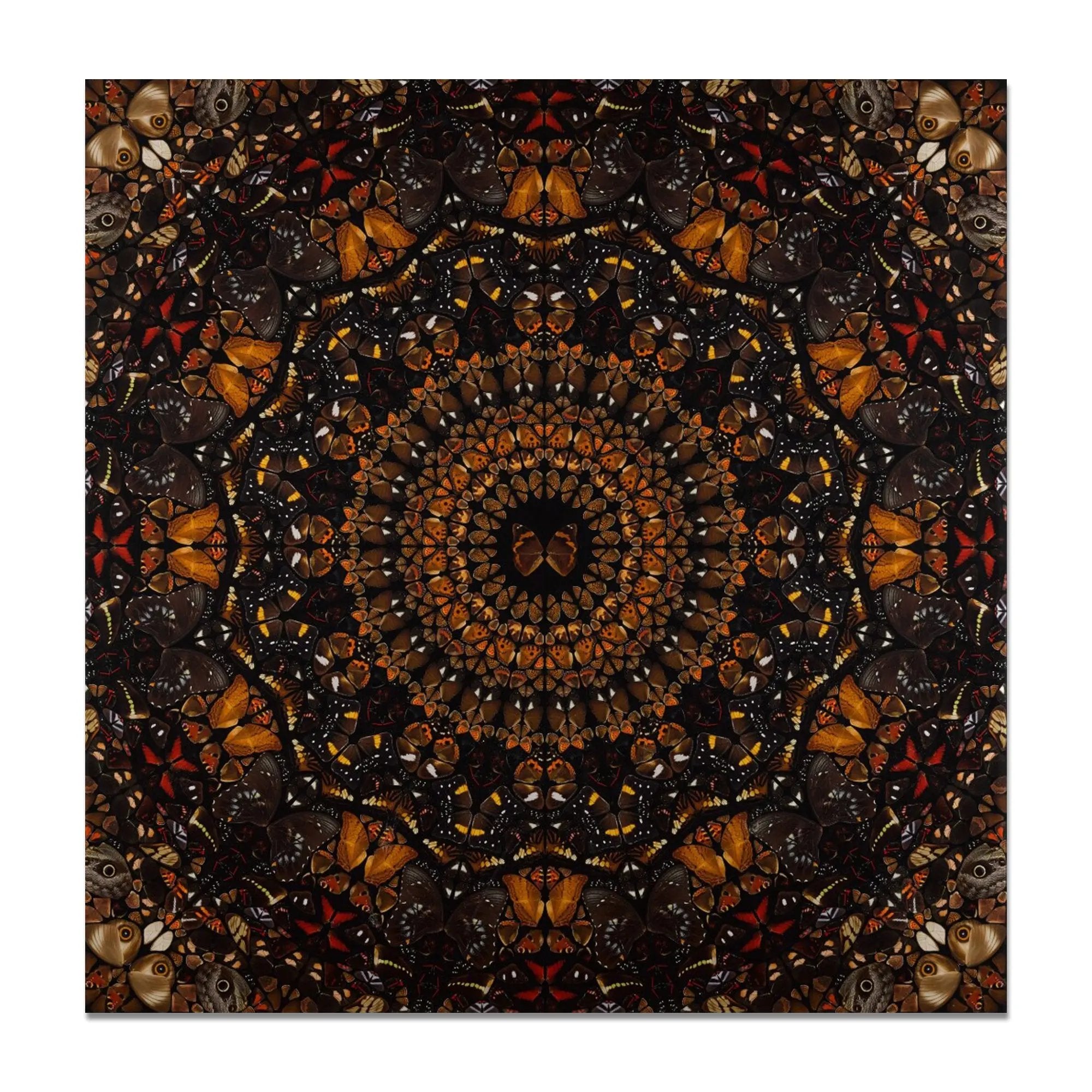 Damien Hirst - Earth (from The Elements)