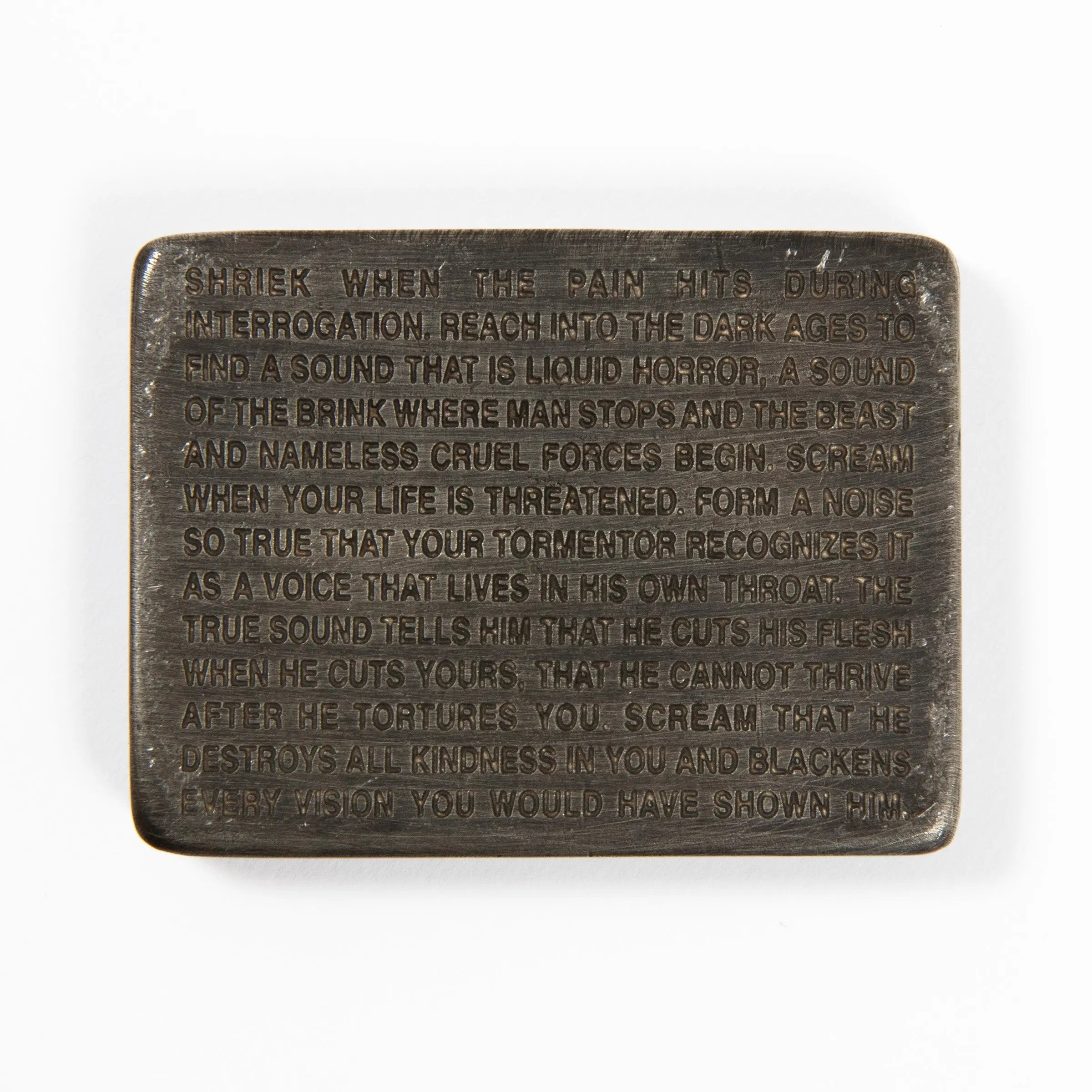 Jenny Holzer - Inflammatory Essays: Shriek When the Pain Hits During Interrogation