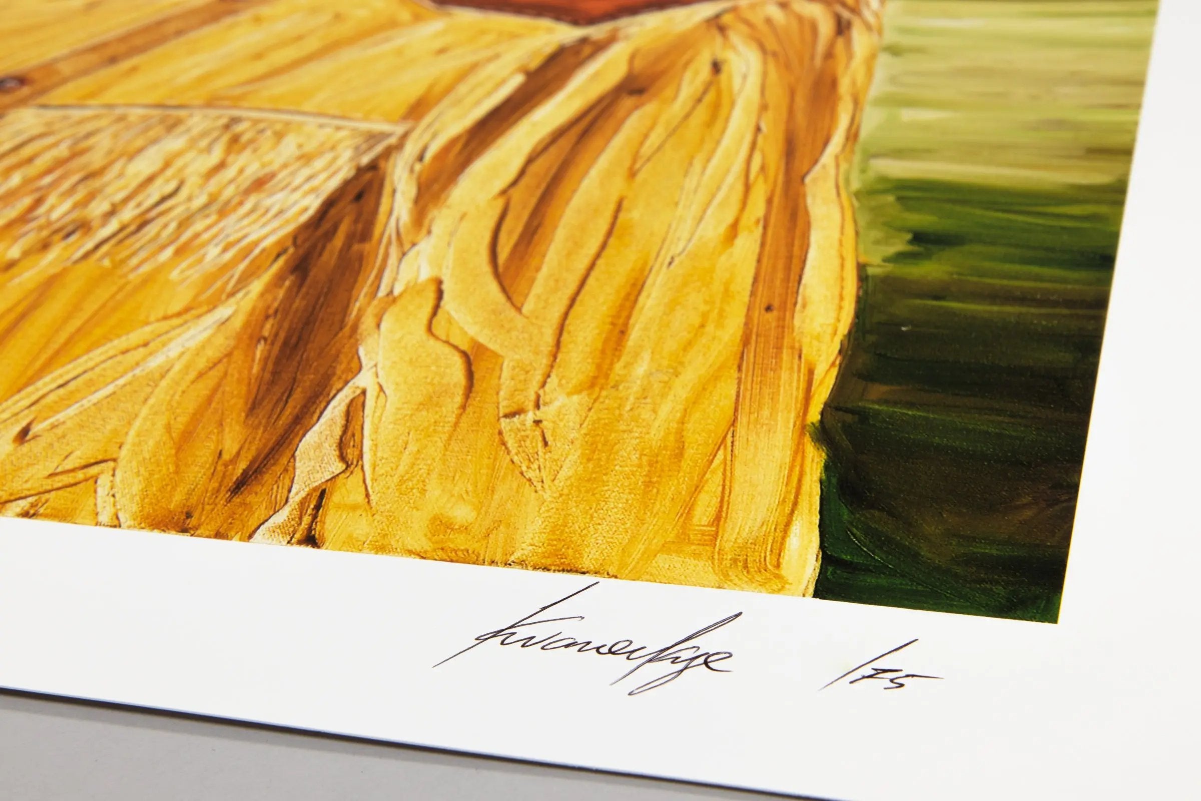 Otis Kwame Quaicoe, Rancher