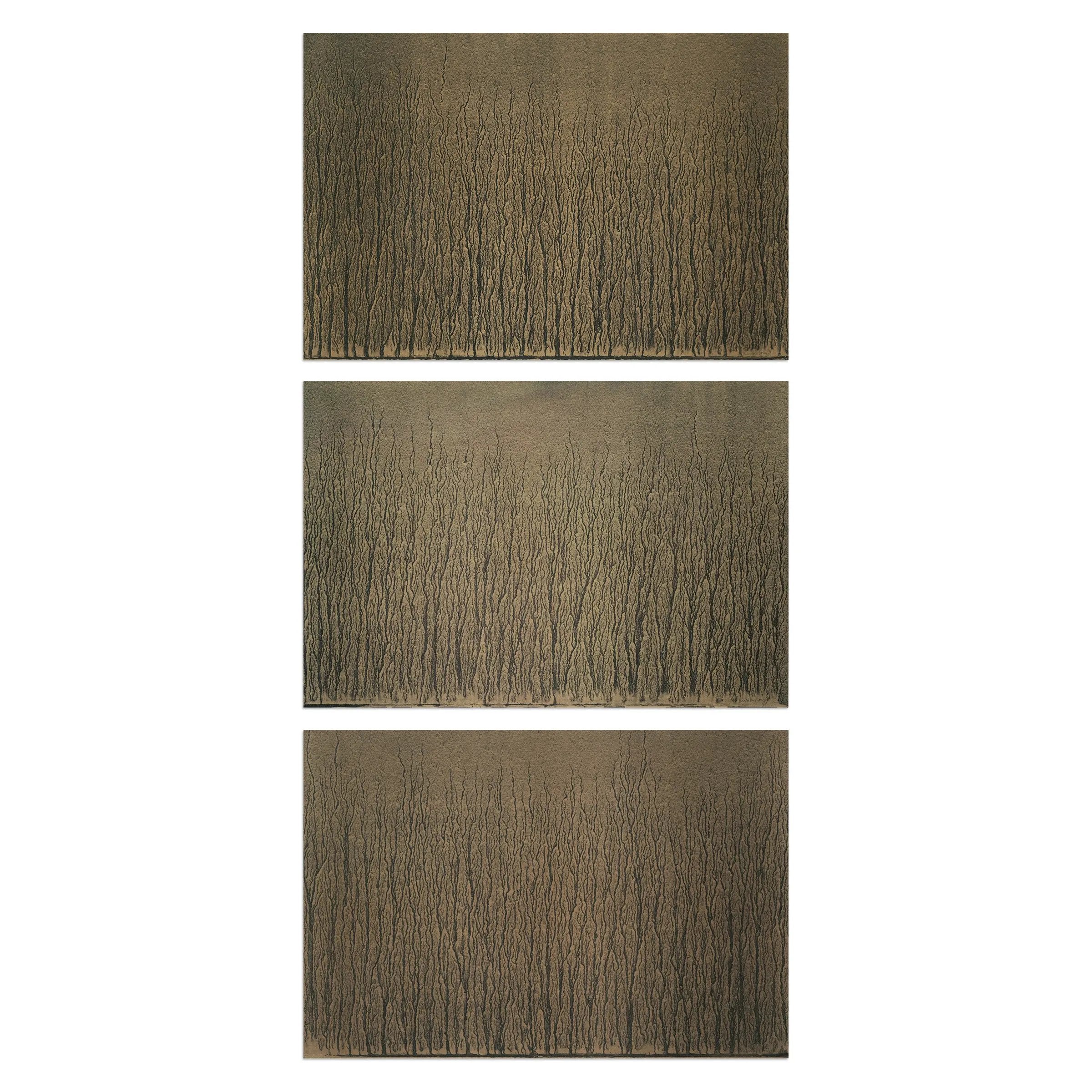 Richard Long - River Avon Mud Drawings (1989)