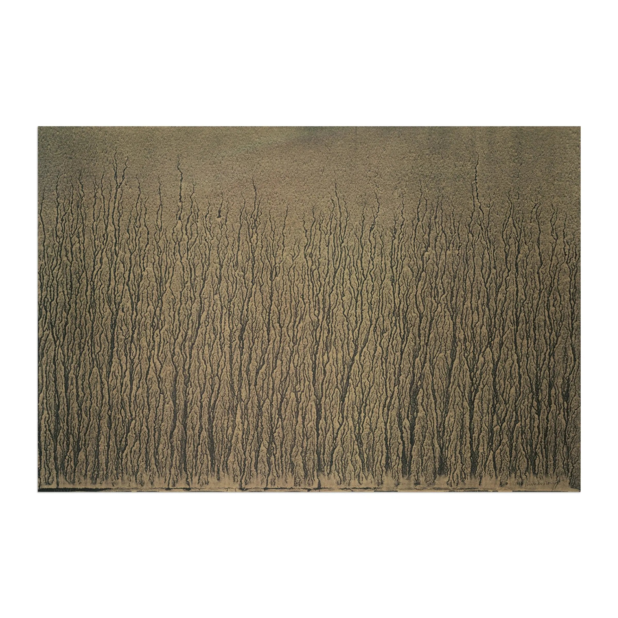 Richard Long - River Avon Mud Drawings (1989)