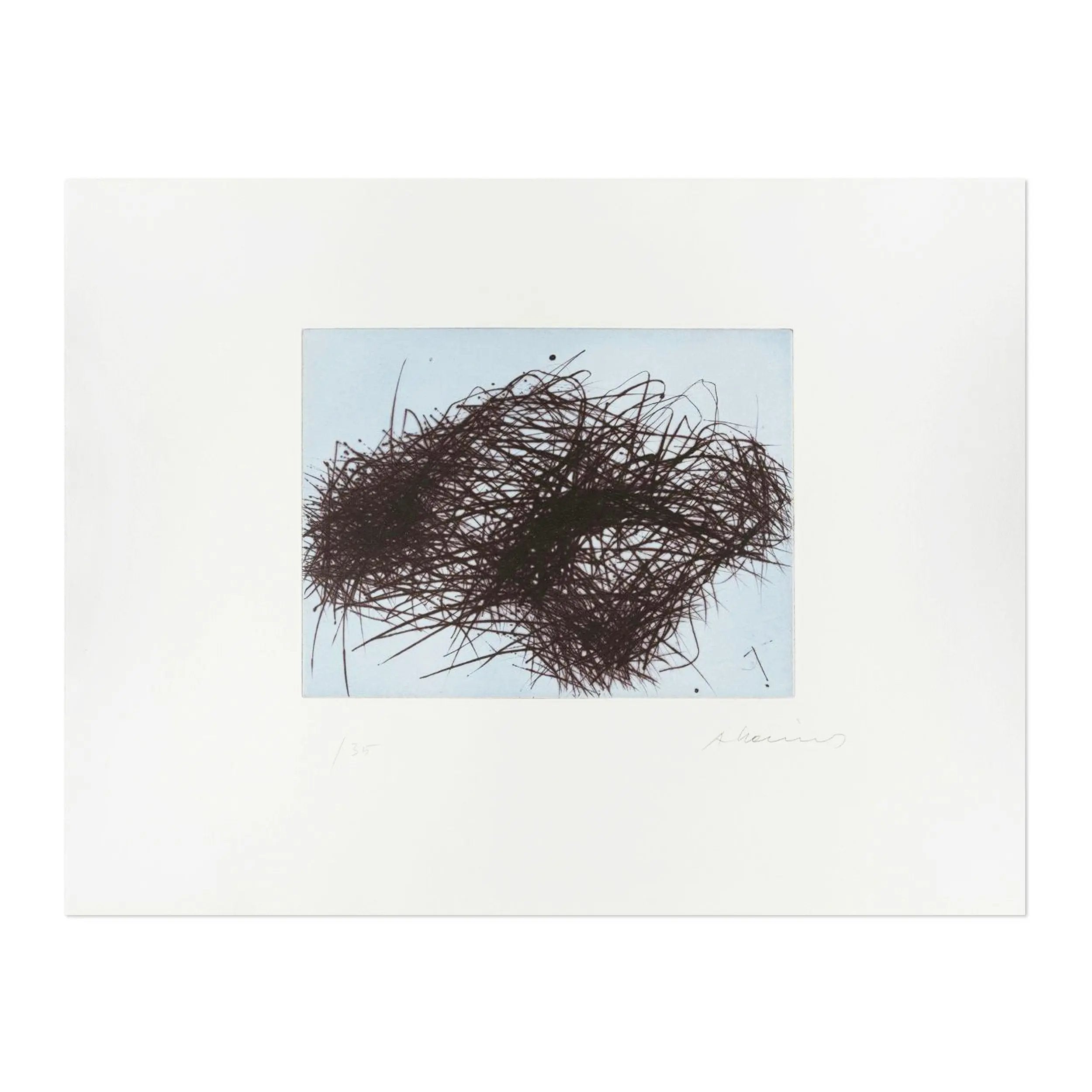 Arnulf Rainer - Drahtwolke