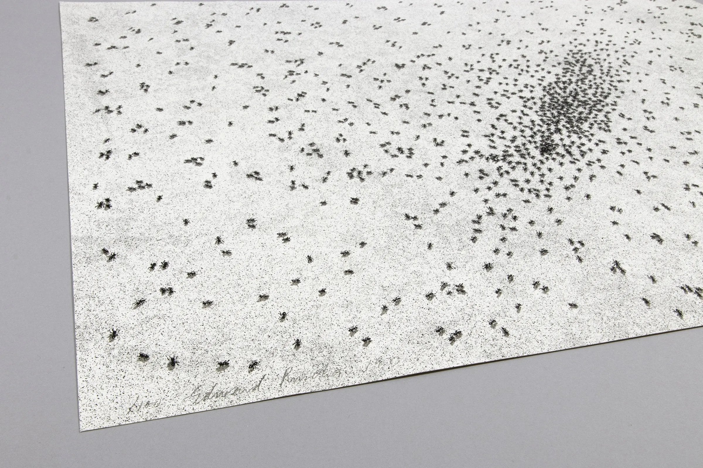 Ed Ruscha - Insect Slant (Ants)