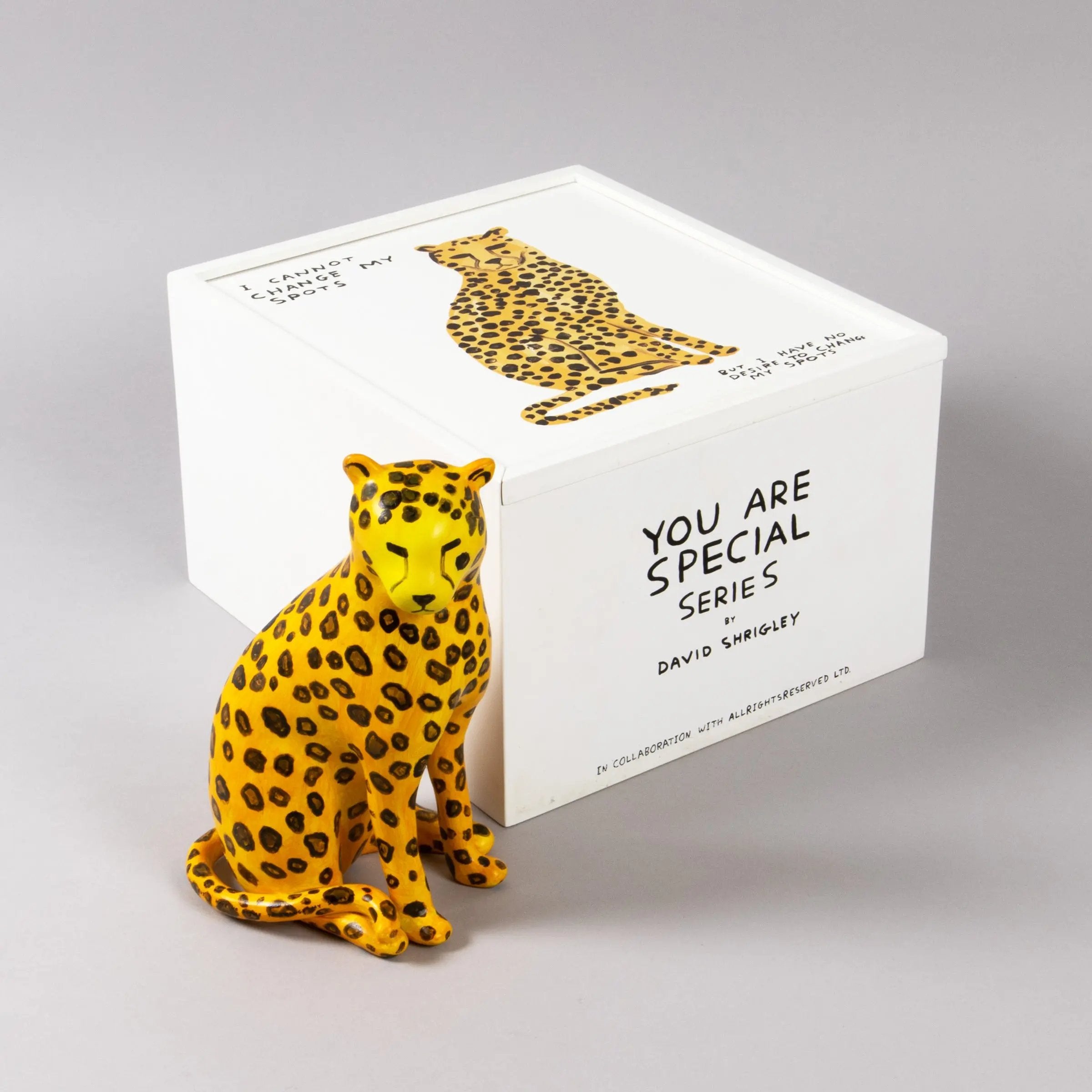 David Shrigley - I Cannot Change my Spots