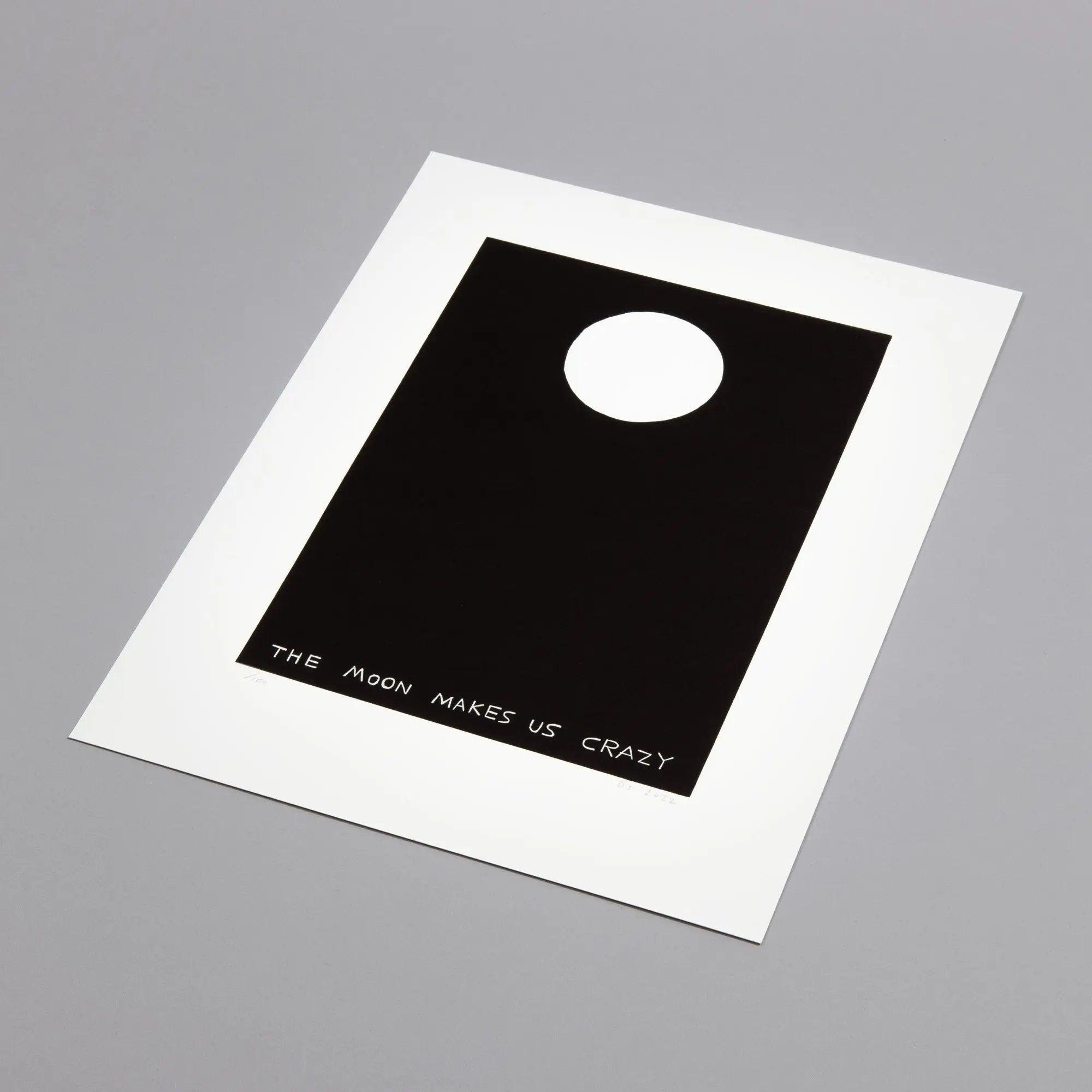 David Shrigley - The Moon Makes Us Crazy