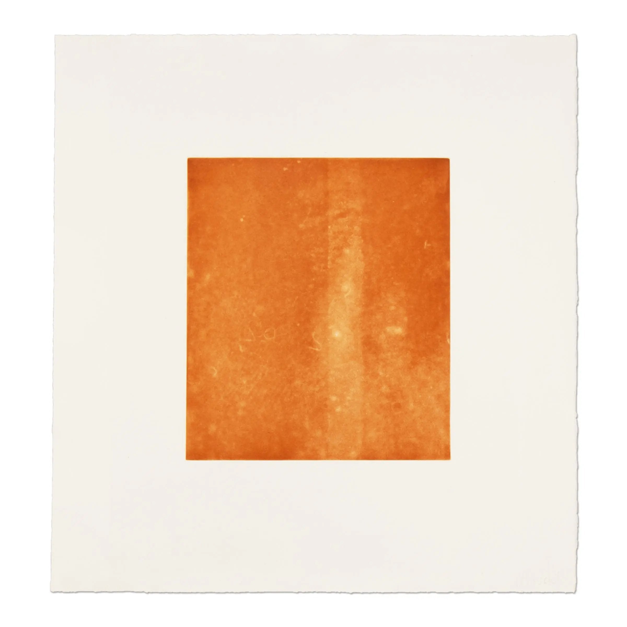 Rosemarie Trockel - Für Freunde und Förderer 