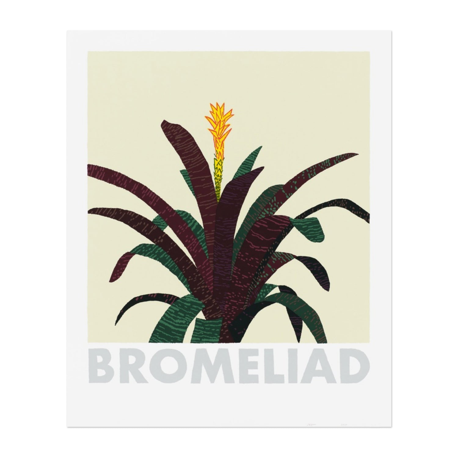 Jonas Wood - Bromeliad