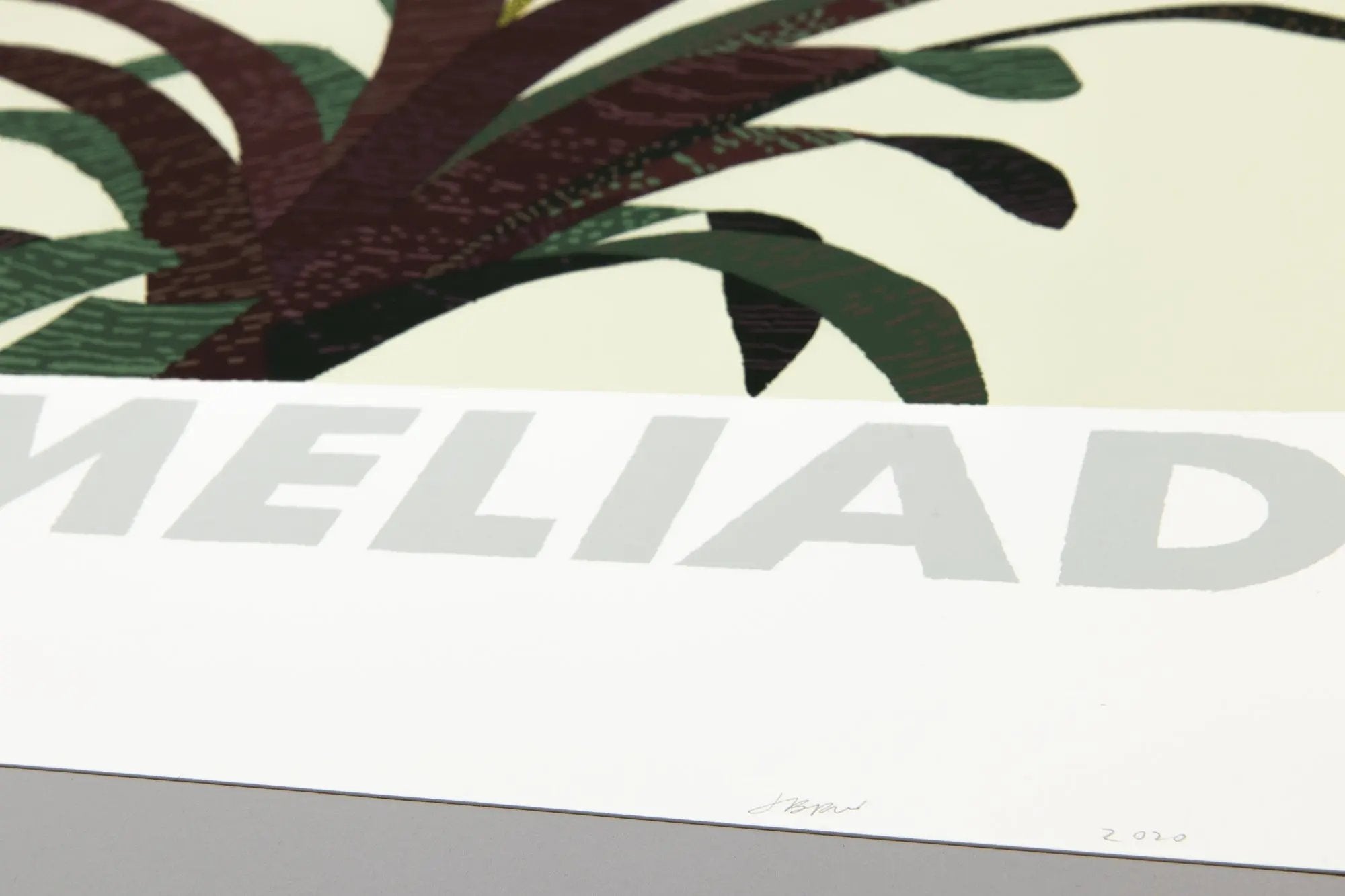 Jonas Wood - Bromeliad